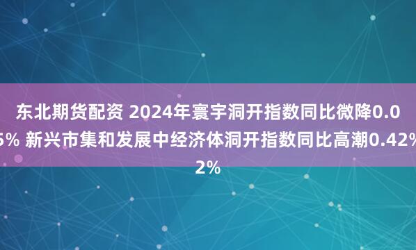 东北期货配资 2024年寰宇洞开指数同比微降0.05% 新兴市集和发展中经济体洞开指数同比高潮0.42%