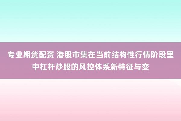 专业期货配资 港股市集在当前结构性行情阶段里中杠杆炒股的风控体系新特征与变